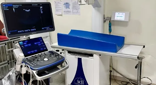 Soins vétérinaires à Til-Chatel