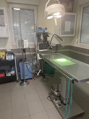 chirurgie (3)