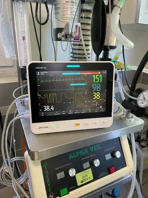 chirurgie (2)