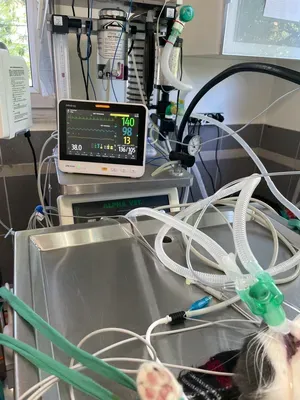 chirurgie (1)